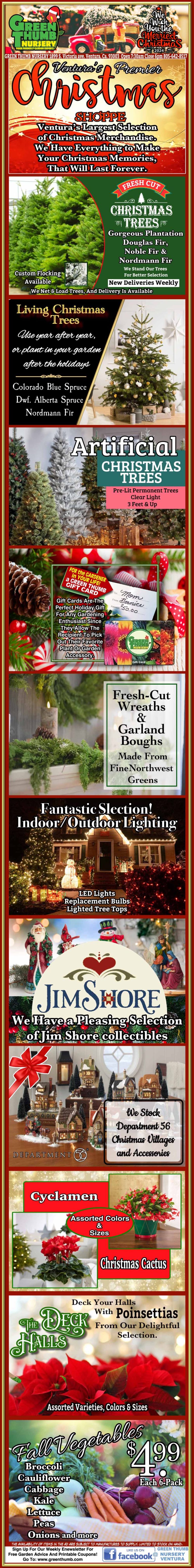 A festive advertisement showcasing Christmas decor and plants, including strawberries, poinsettias, a variety of Christmas trees, Jim Shore collectibles, and cyclamen.