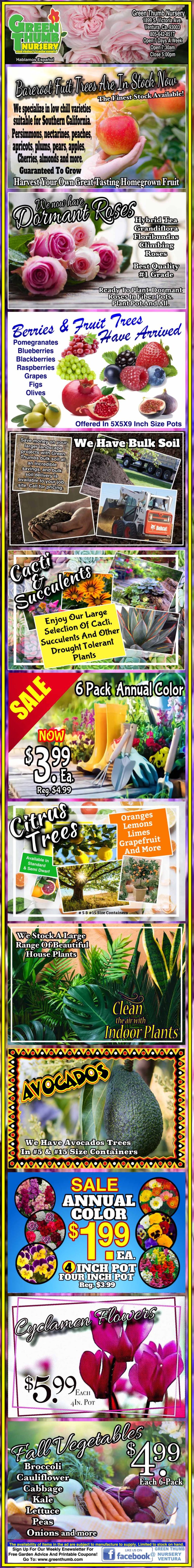 Seed catalog showing a variety of fruit and vegetable seeds, including mango, kiwi, and tomato, with prices and colorful images.