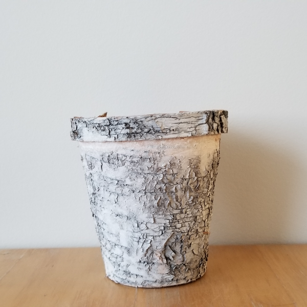 A tree bark textured cup sits on a wooden surface against a plain white background.