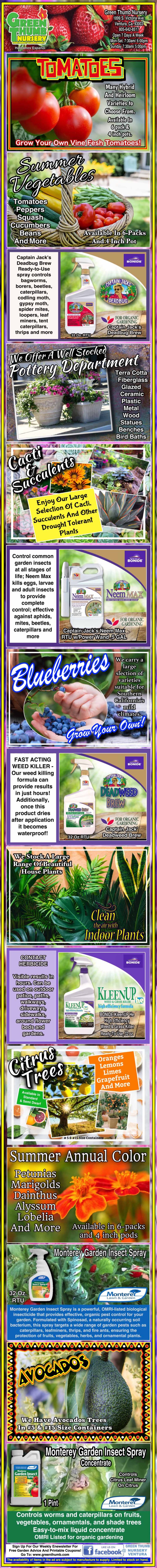 Vertical infographic displaying various organic gardening products with images of plants, fruits, and bottles, and descriptions for each product, including vegetables, soil, and tonics.